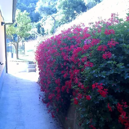 Agriturismo Ca Di Nonni